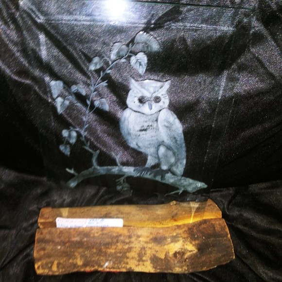 Meet your Posher, Lela - Picture 1 of 1